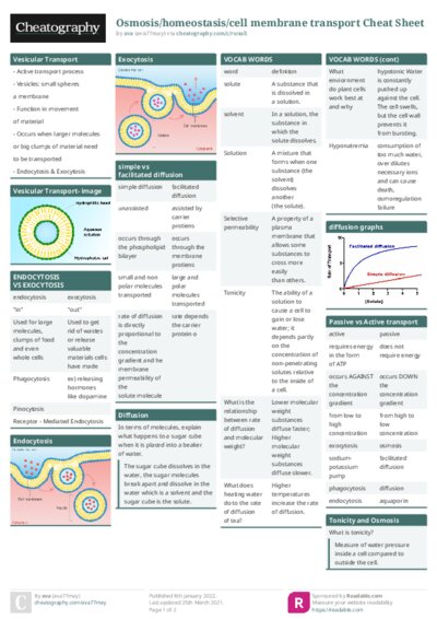 PDF (Colour) — Style 1