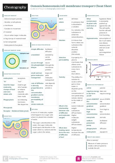 PDF (Colour) — Style 3