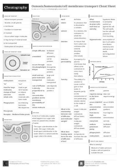 PDF (Black & white) — Style 3