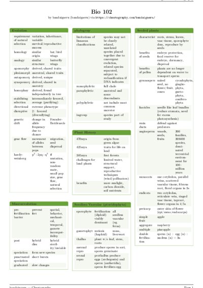 LaTeX (Compiled PDF)
