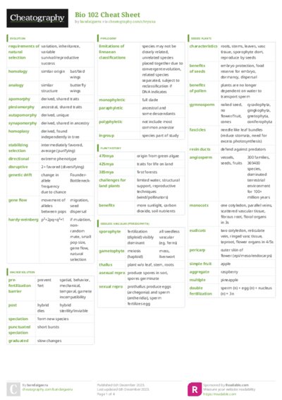 PDF (Colour) — Style 3