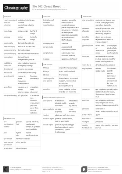 PDF (Black & white) — Style 3