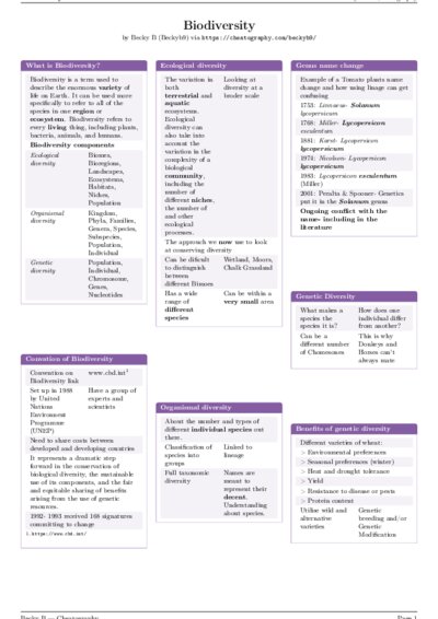 LaTeX (Compiled PDF)