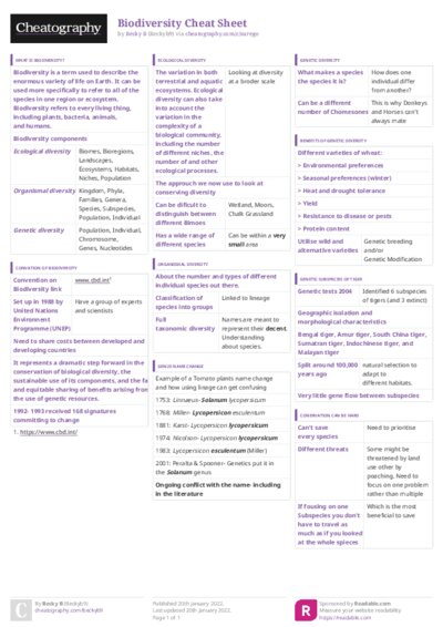 PDF (Colour) — Style 3