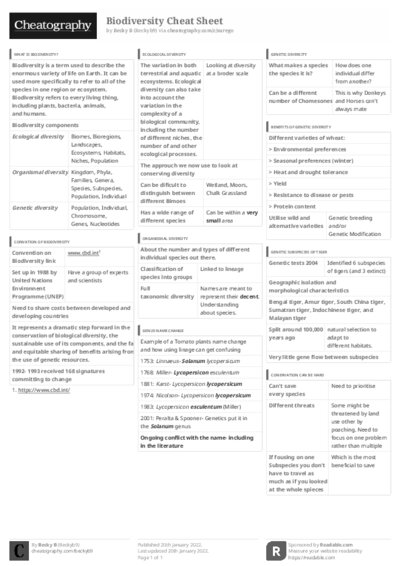 PDF (Black & white) — Style 3