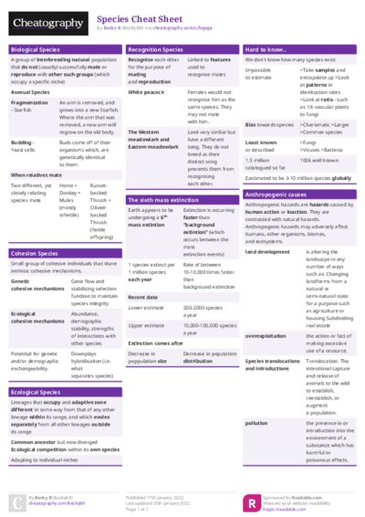 PDF (Colour) — Style 1