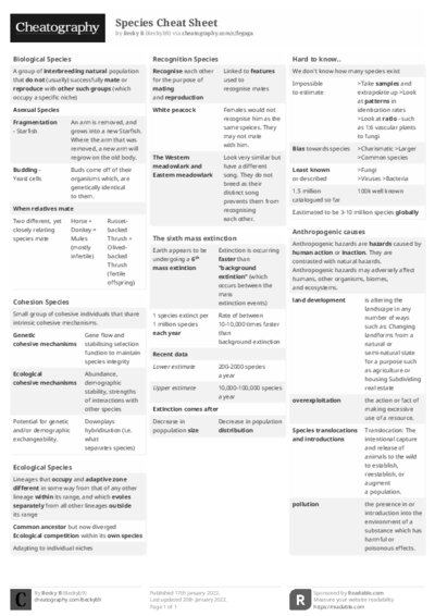 PDF (Black & white) — Style 2