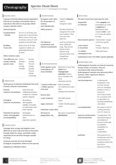 PDF (Black & white) — Style 3