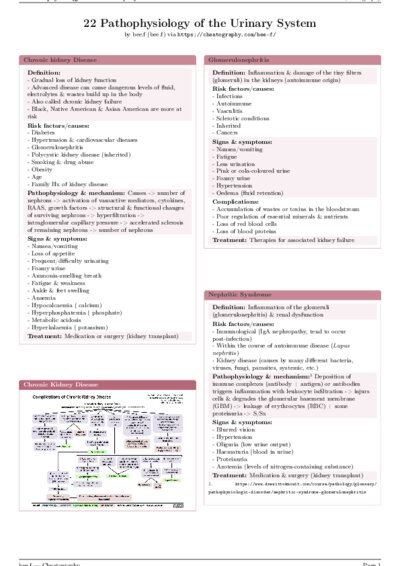 LaTeX (Compiled PDF)