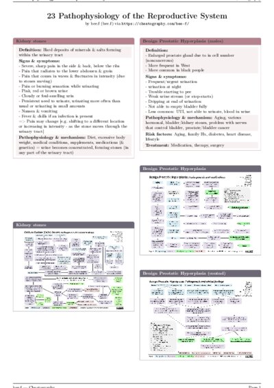 LaTeX (Compiled PDF)