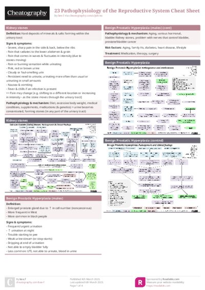 PDF (Colour) — Style 1
