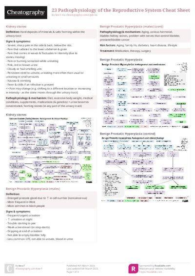 PDF (Colour) — Style 2