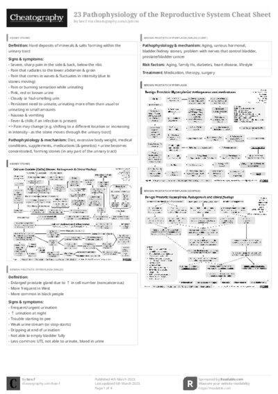 PDF (Black & white) — Style 3