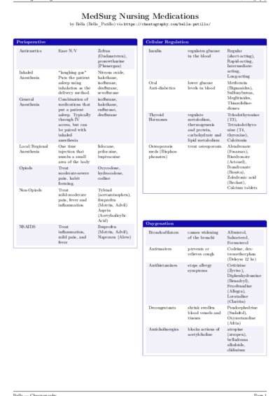 LaTeX (Compiled PDF)
