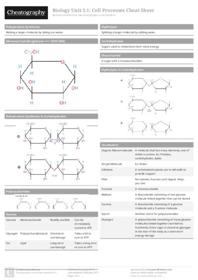 Biology Unit 3.1: Cell Processes Cheat Sheet