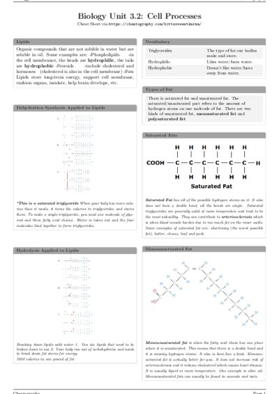 LaTeX (Compiled PDF)