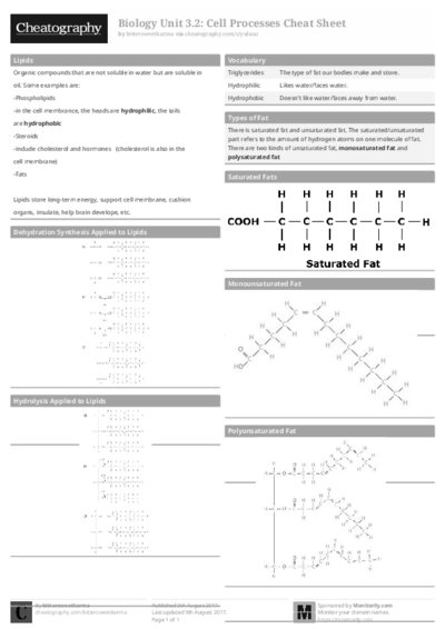 PDF (Black & white) — Style 1