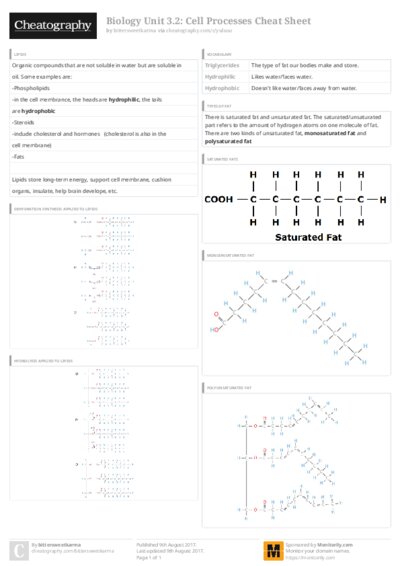 PDF (Colour) — Style 3