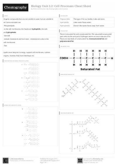 PDF (Black & white) — Style 3