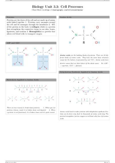 LaTeX (Compiled PDF)