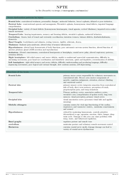 LaTeX (Compiled PDF)