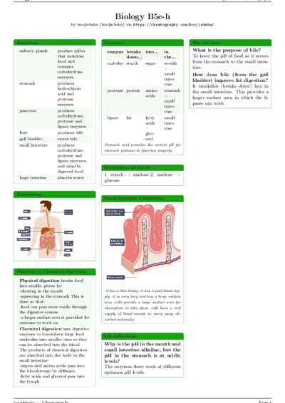 LaTeX (Compiled PDF)