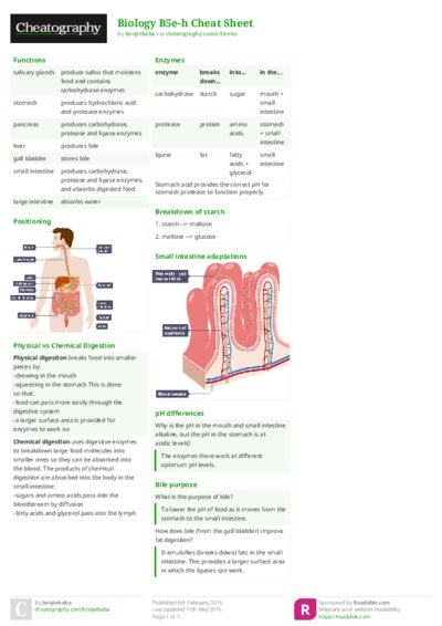 PDF (Colour) — Style 2