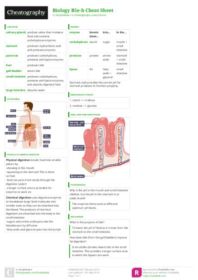 PDF (Colour) — Style 3