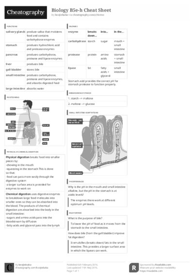PDF (Black & white) — Style 3