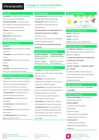 PDF (Colour) — Style 1
