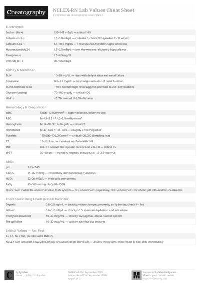 PDF (Black & white) — Style 2
