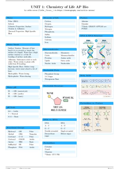 LaTeX (Compiled PDF)