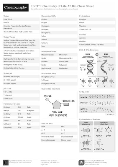 PDF (Black & white) — Style 2
