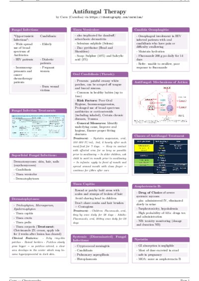 LaTeX (Compiled PDF)