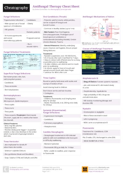 PDF (Colour) — Style 2