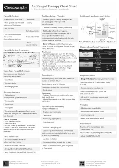 PDF (Black & white) — Style 2