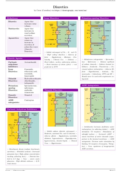 LaTeX (Compiled PDF)