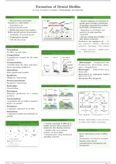 LaTeX (Compiled PDF)