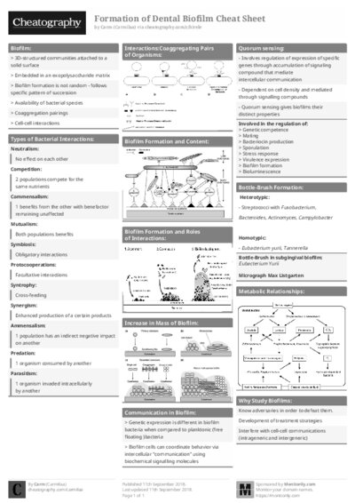 PDF (Black & white) — Style 1