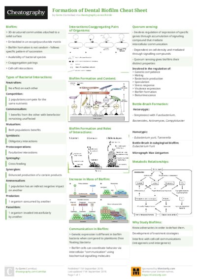 PDF (Colour) — Style 2