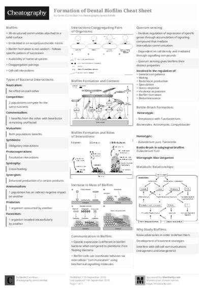 PDF (Black & white) — Style 2