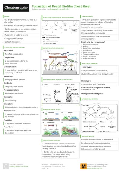 PDF (Colour) — Style 3