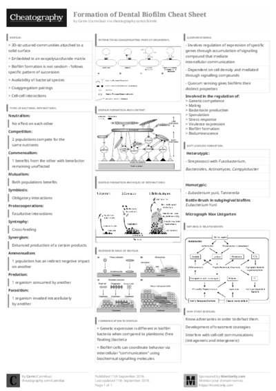 PDF (Black & white) — Style 3