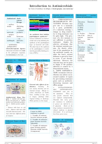 LaTeX (Compiled PDF)