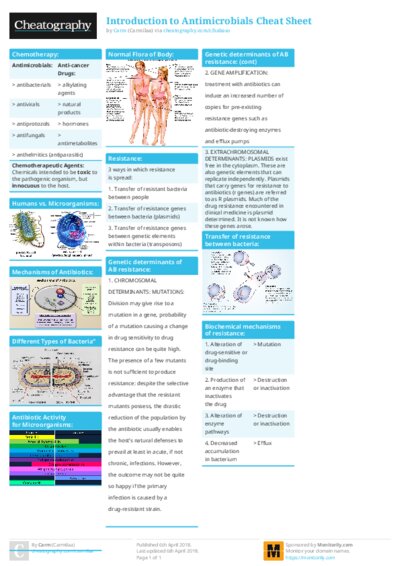 PDF (Colour) — Style 1