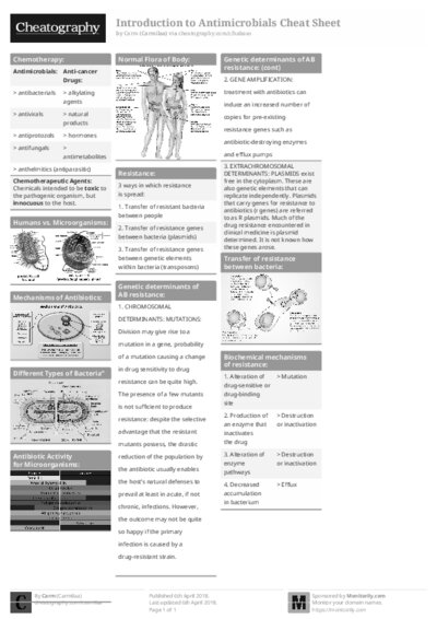 PDF (Black & white) — Style 1