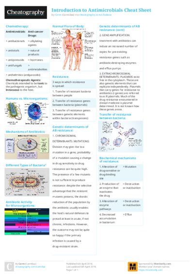 PDF (Colour) — Style 2