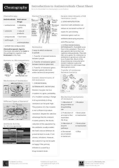 PDF (Black & white) — Style 2