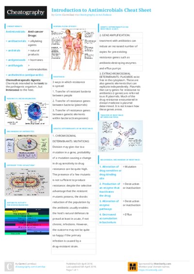 PDF (Colour) — Style 3