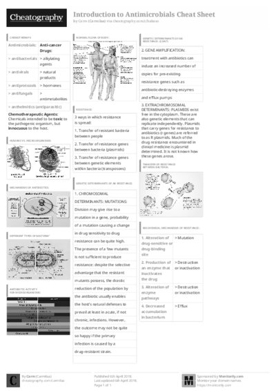 PDF (Black & white) — Style 3